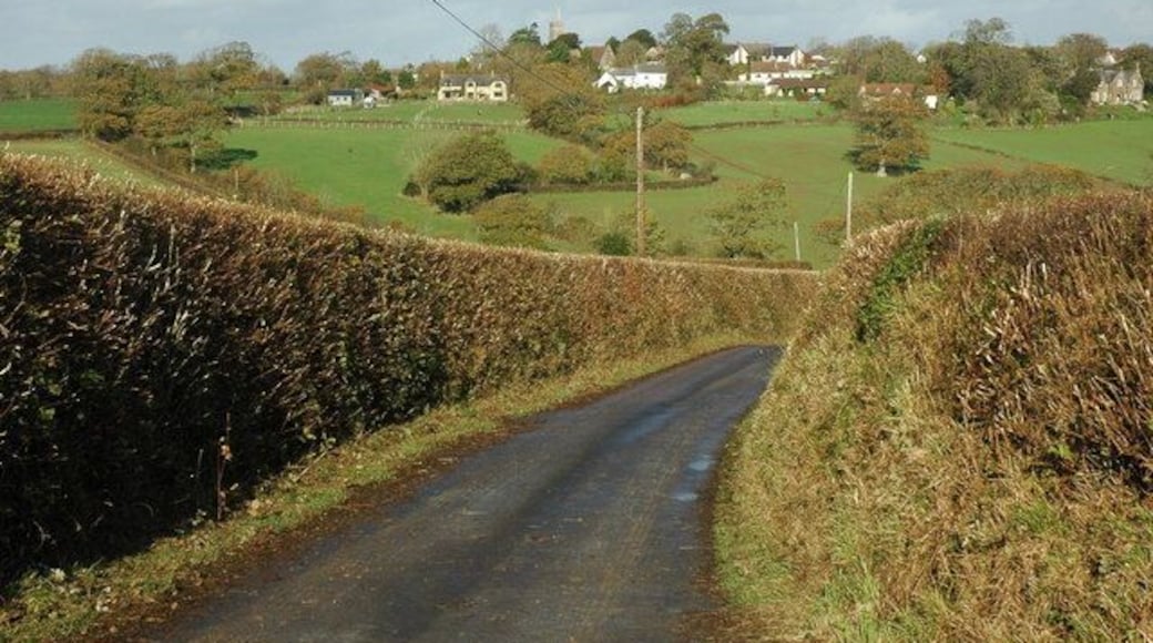Road approaching Down St Mary The village of Down St Mary and its church tower can be seen on the hill in the background.