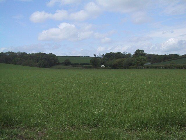 Field near Down St Mary
