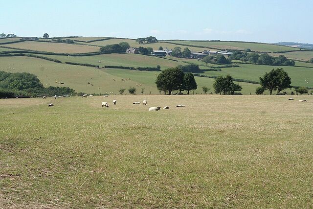 Zeal Monachorum: towards Loosebeare. The Gissage Lake runs in the intervening valley, a tributary of the river Yeo. Looking north west