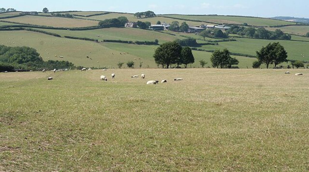 Zeal Monachorum: towards Loosebeare. The Gissage Lake runs in the intervening valley, a tributary of the river Yeo. Looking north west