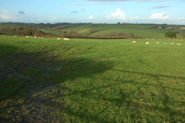 Farmland at Zeal Monachorum View across farmland to the north of Zeal Monachorum. Loosebeare can be seen over on the far right.