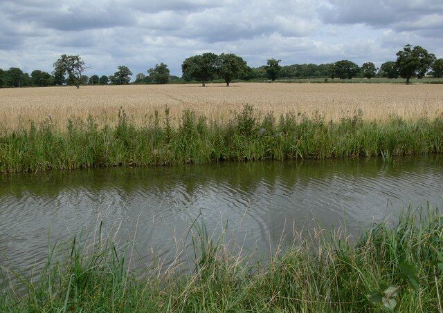 Farmland alongside the Ashby Canal