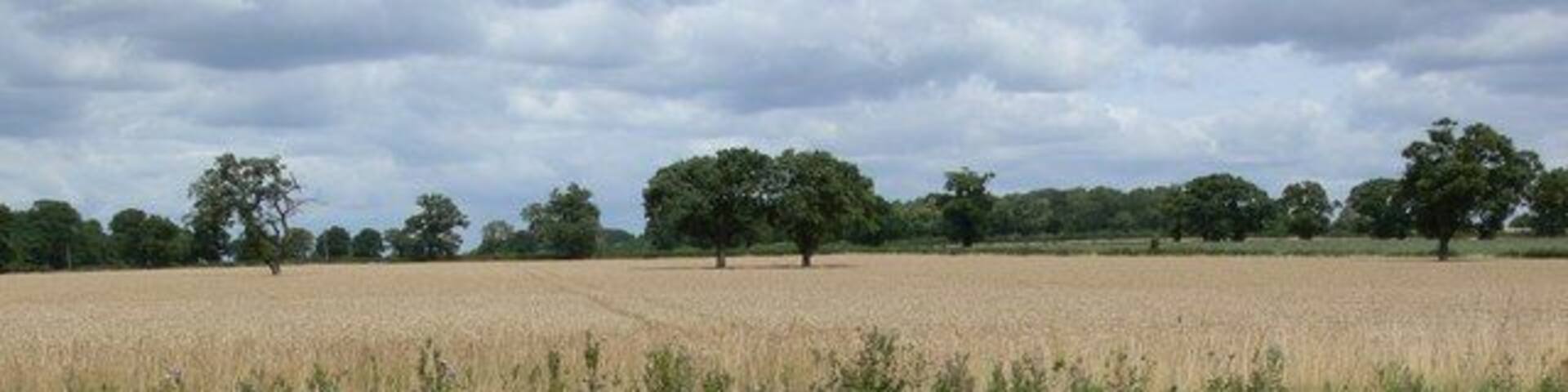 Farmland alongside the Ashby Canal