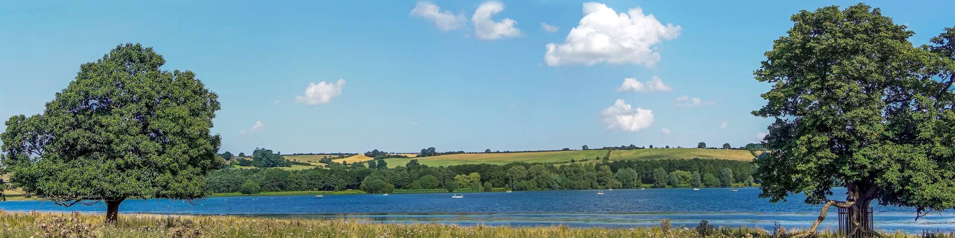 A lake with two prominent trees on either side, surrounded by grassy fields and a hilly landscape in the background.