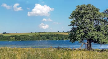 A lake with two prominent trees on either side, surrounded by grassy fields and a hilly landscape in the background.
