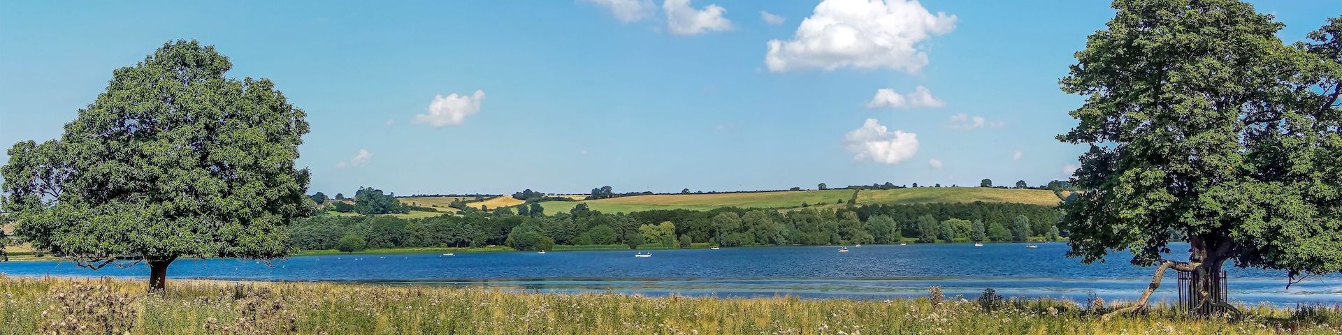 Un lago con dos árboles destacados a cada lado, rodeado de campos verdes y un paisaje montañoso al fondo.