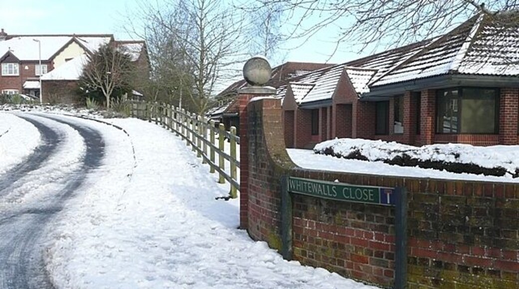 Whitewalls Close Well yes, they are, aren't they. Baxter Healthcare offices to the right.