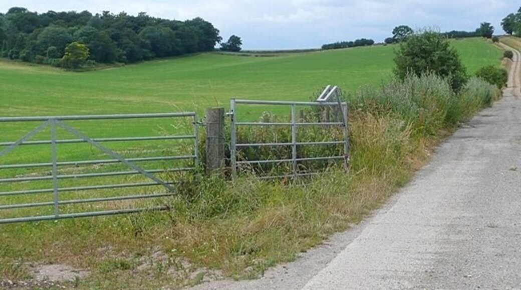 Track off Cheseridge Road A private track accessing arable farmland and downland.