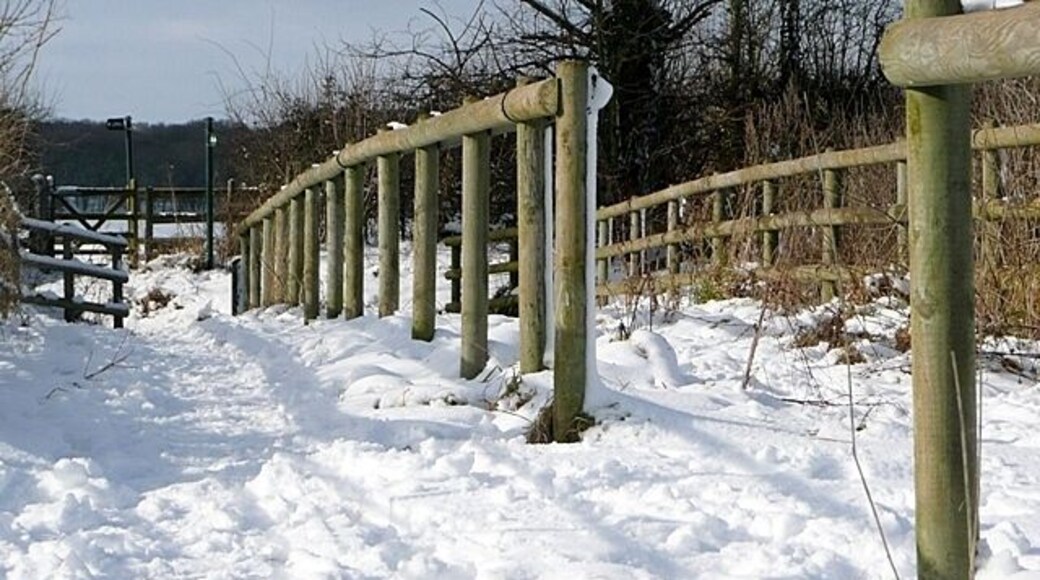 End of the footpath/bridleway The route that has two tracks, one a footpath the other a bridleway, ends here at a lane.