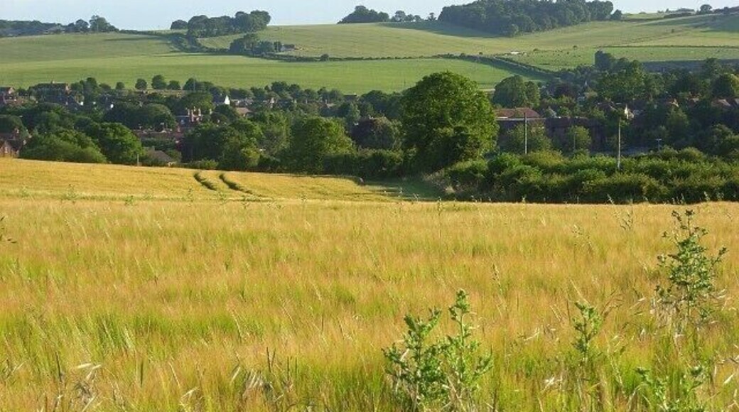 Barley, Compton The rather large village hides quite well in the top of the Pang valley. The large copse on the opposite hillside is identifiable as Ash Close.