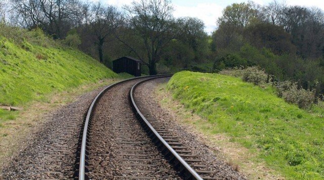 West Somerset Railway. From the same crossing point as 1281019, looking in the other direction down the track towards Combe Florey, past a dark hut rather hidden in shadow compared to the bright grassy banks in the foreground.