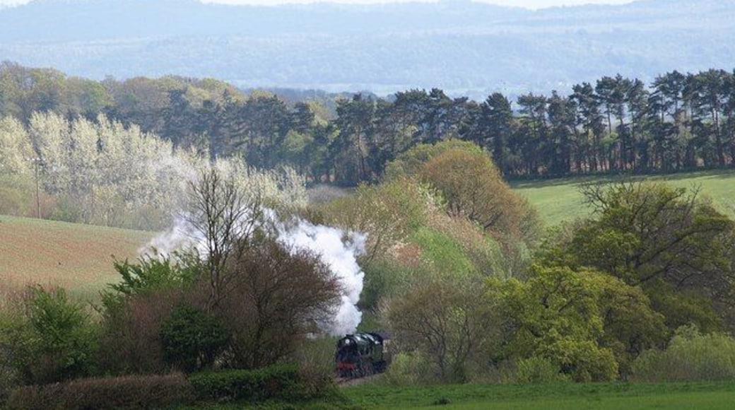 Locomotive on West Somerset Railway A distant steam train seen from the lane between Nethercott and Combe Florey.