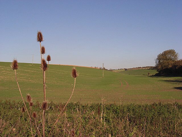 Between the Collingbournes Hillside rising from the former railway.