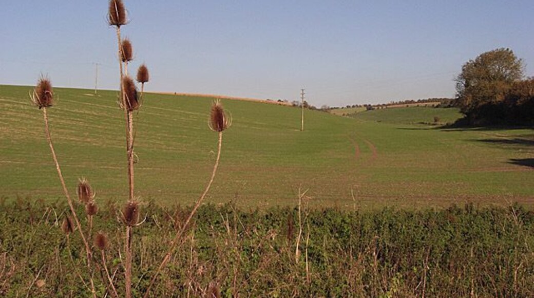 Between the Collingbournes Hillside rising from the former railway.