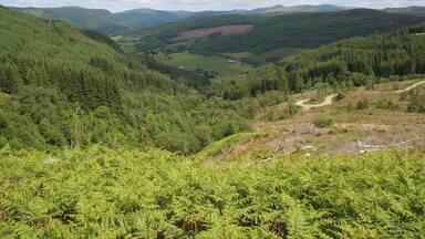 A mountainous landscape with dense forests, a winding dirt road, and distant buildings.