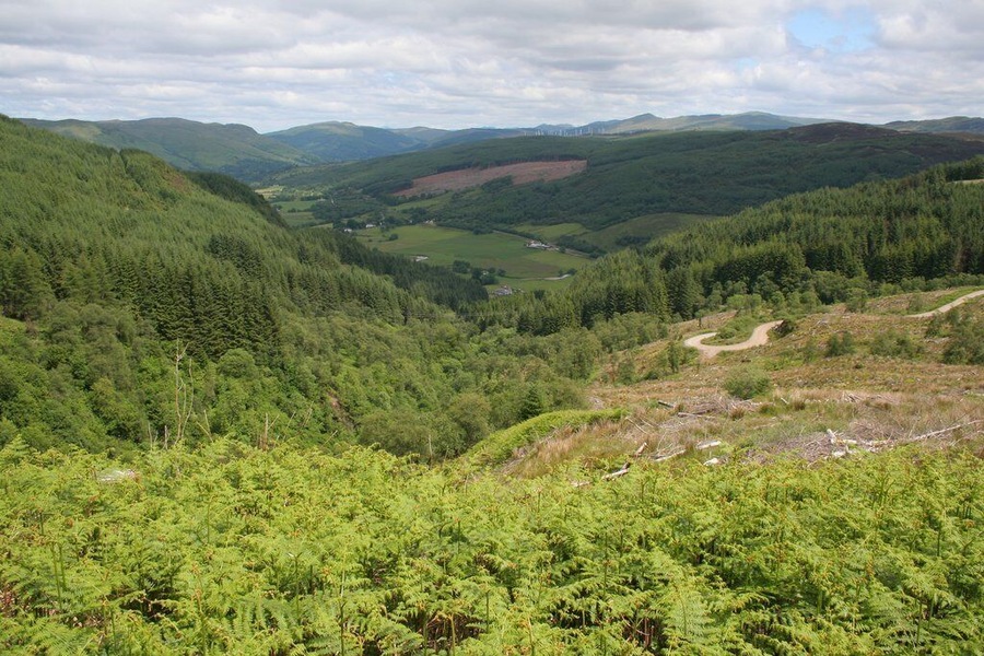 Forestry road above Balachandrain Burn The forestry road turns sharply as it descends the hill.