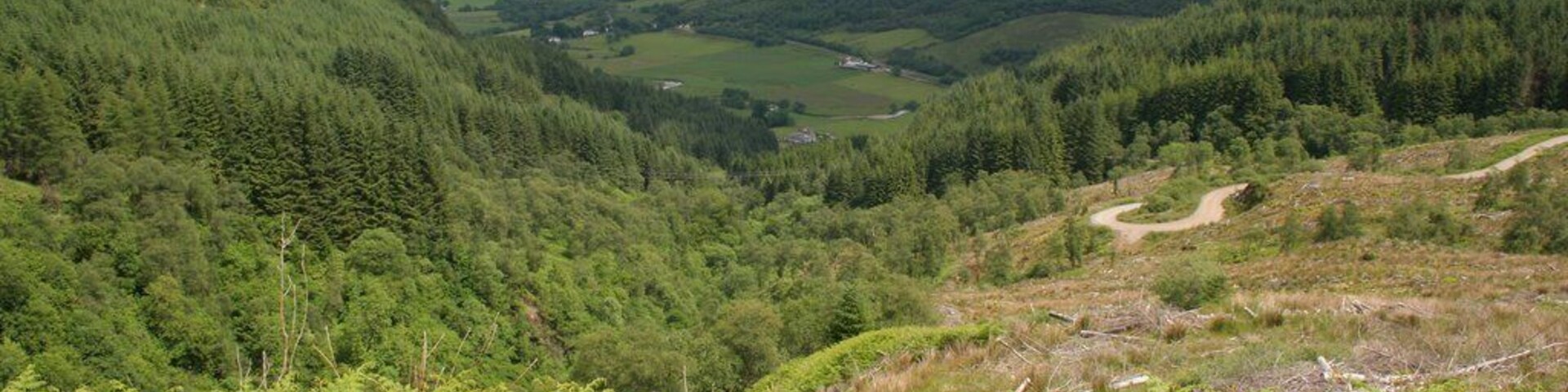 Forestry road above Balachandrain Burn The forestry road turns sharply as it descends the hill.
