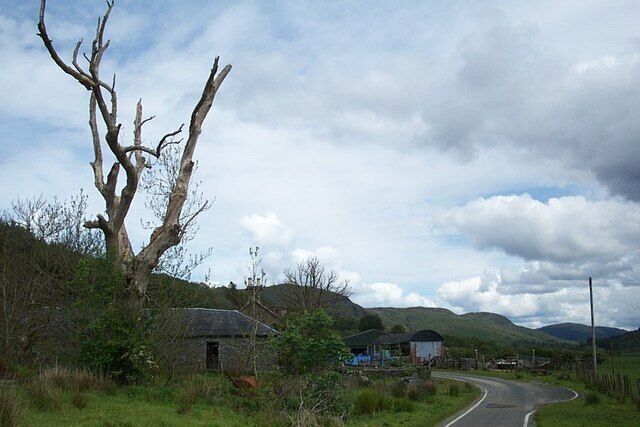 Camquhart - Glendaruel A farm on the West Road - unlikely as it seems, there is fresh growth coming out of the trunk of the "dead" tree on the left.