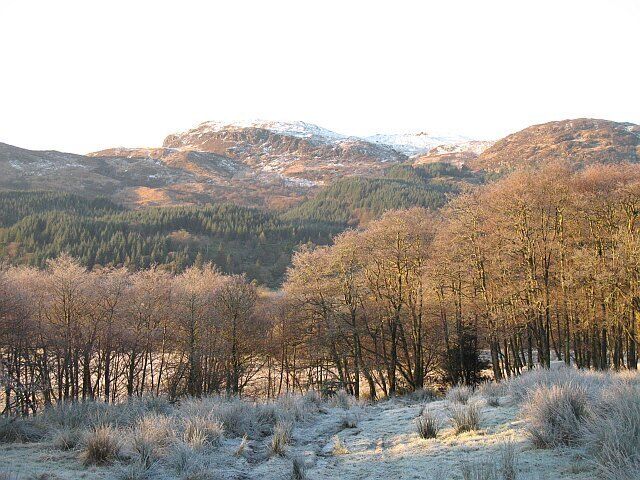 Farmland, Glendaruel Farmed land on the glen floor with forestry on the steep sides.