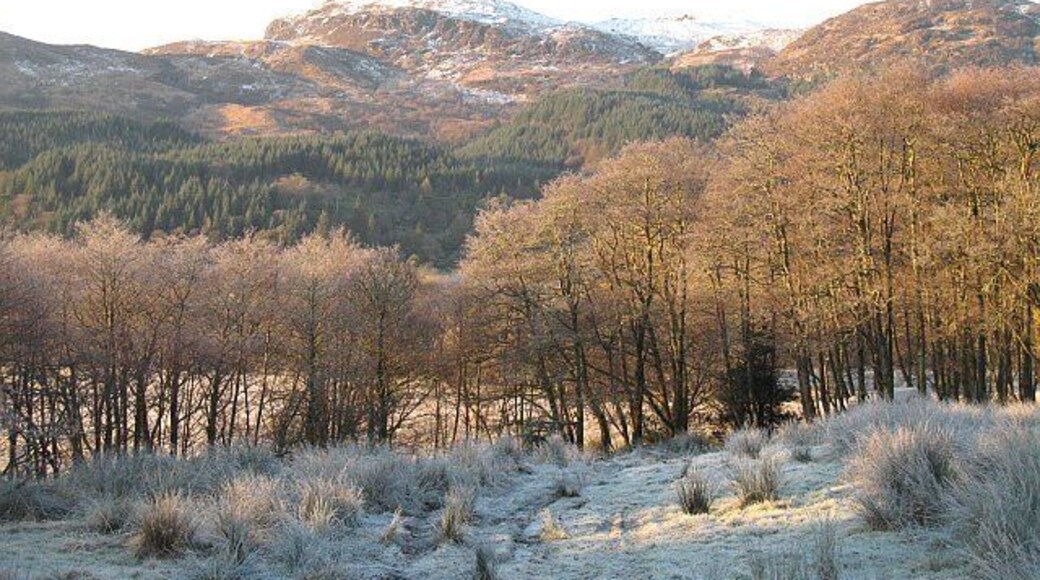 Farmland, Glendaruel Farmed land on the glen floor with forestry on the steep sides.