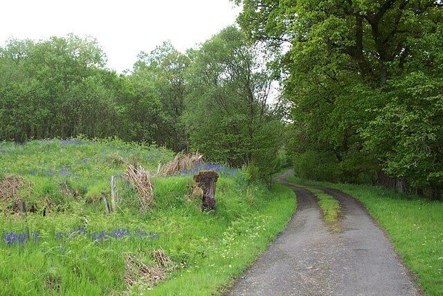 Glendaruel The old road on the East side of the glen.