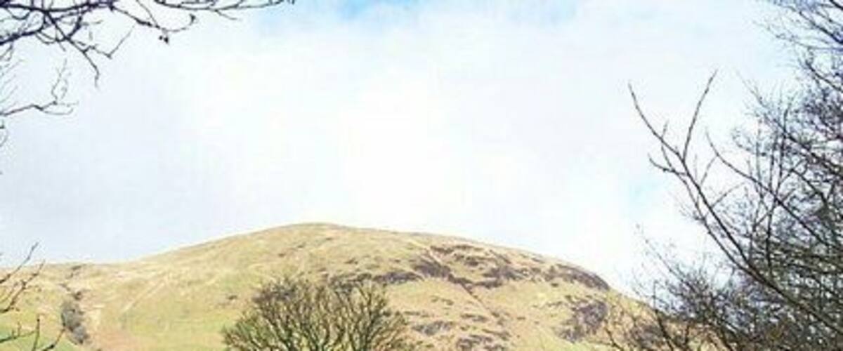 Glendaruel Caravan Park. The trees are just coming into bud.