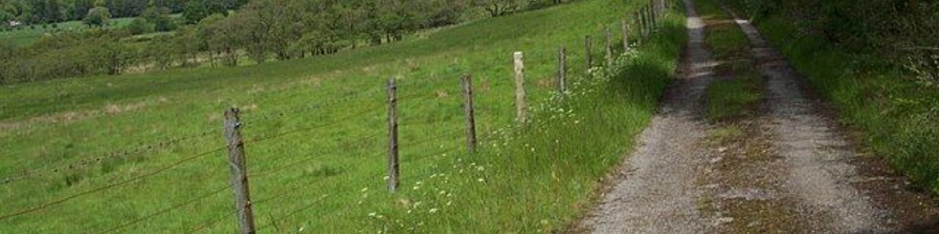 Glendaruel The old road on the East side of the glen - approaching Ardachearanbeg.