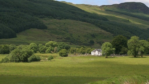 Kilmodan Church, Glendaruel A distant view of Kilmodan Church