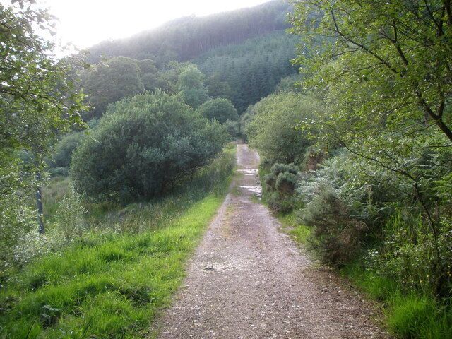 The old A886 near to Stronafian, Glendaruel.