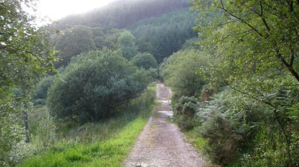 The old A886 near to Stronafian, Glendaruel.