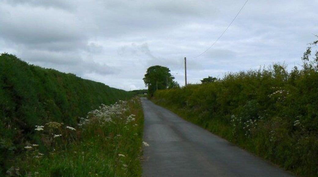Road to West Loch From near the entrance to Pilmuir farm.