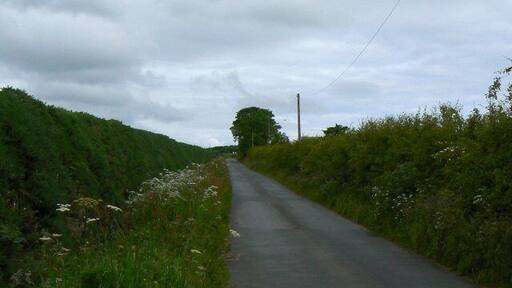 Road to West Loch From near the entrance to Pilmuir farm.