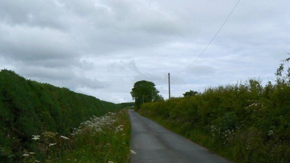 A narrow rural road flanked by lush greenery and wildflowers.