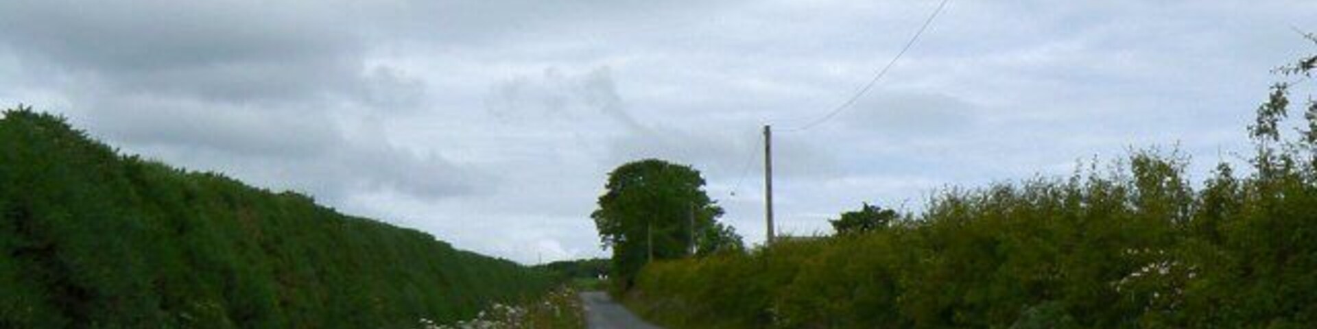 Road to West Loch From near the entrance to Pilmuir farm.