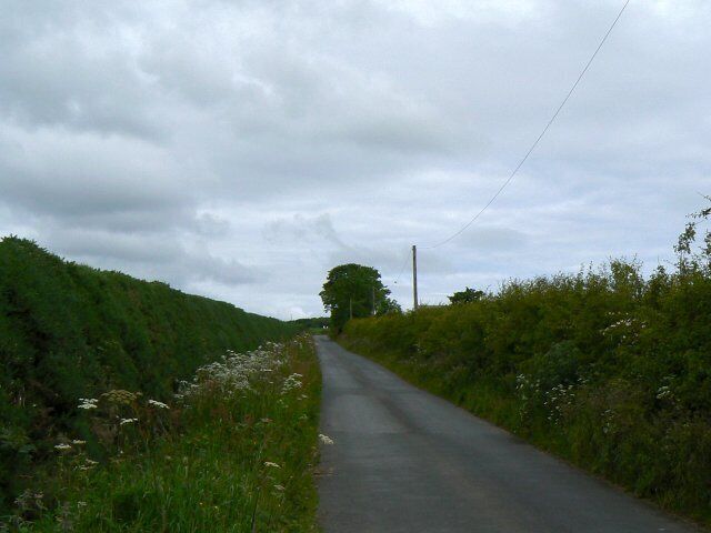 A narrow rural road flanked by lush greenery and wildflowers.