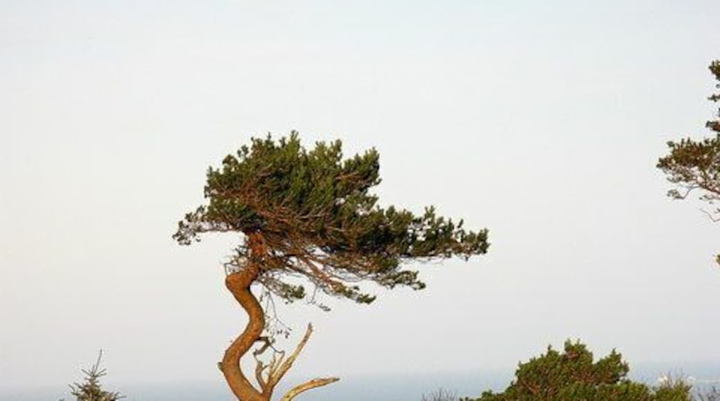 Crosslaw Farm View from the farm track leading to Crosslaw Farm.