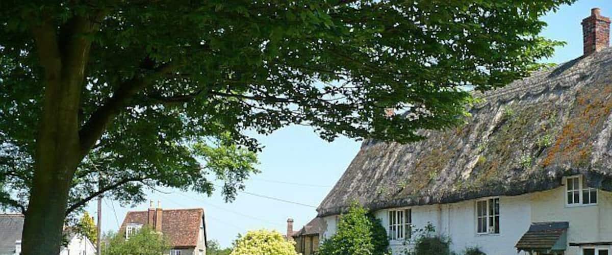 A quaint village street lined with traditional white houses, a large tree, and a grassy area.
