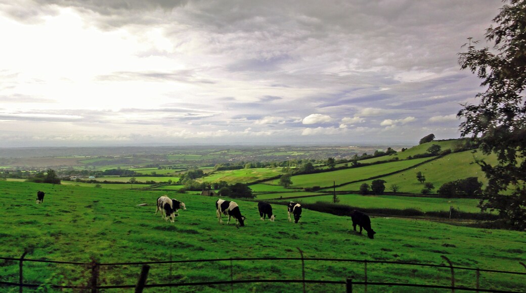 English Country Side