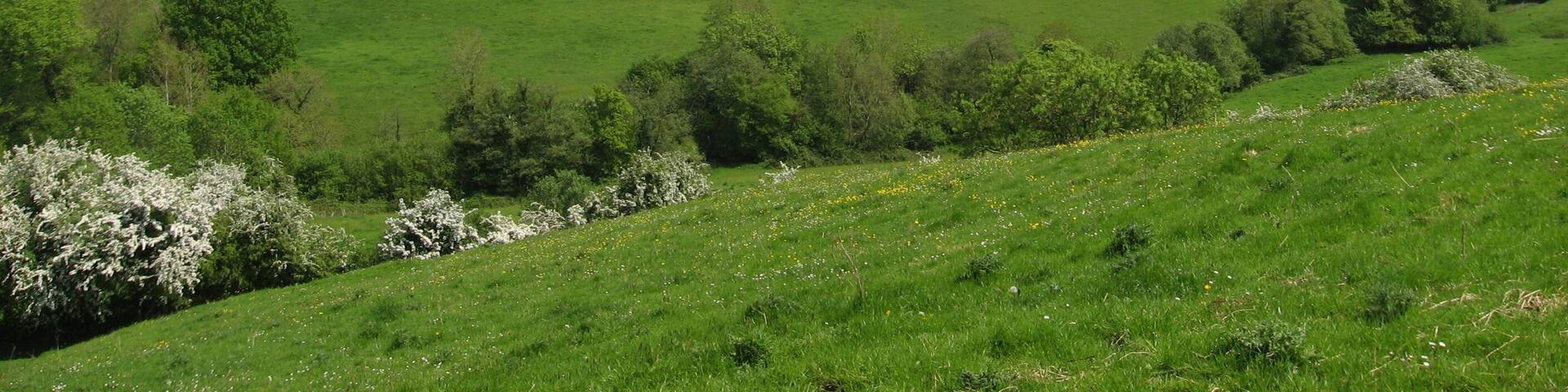 St. Catherines Valley.