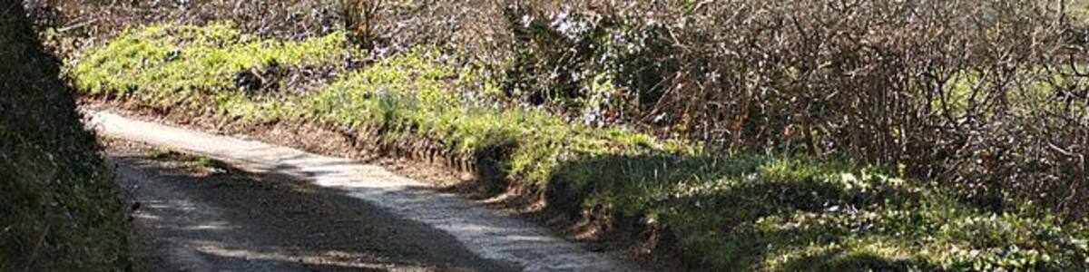 Tadwick Lane Looking back toward Tadwick. In a few hundred yards the lane joins the A46 - going backwards, that is.