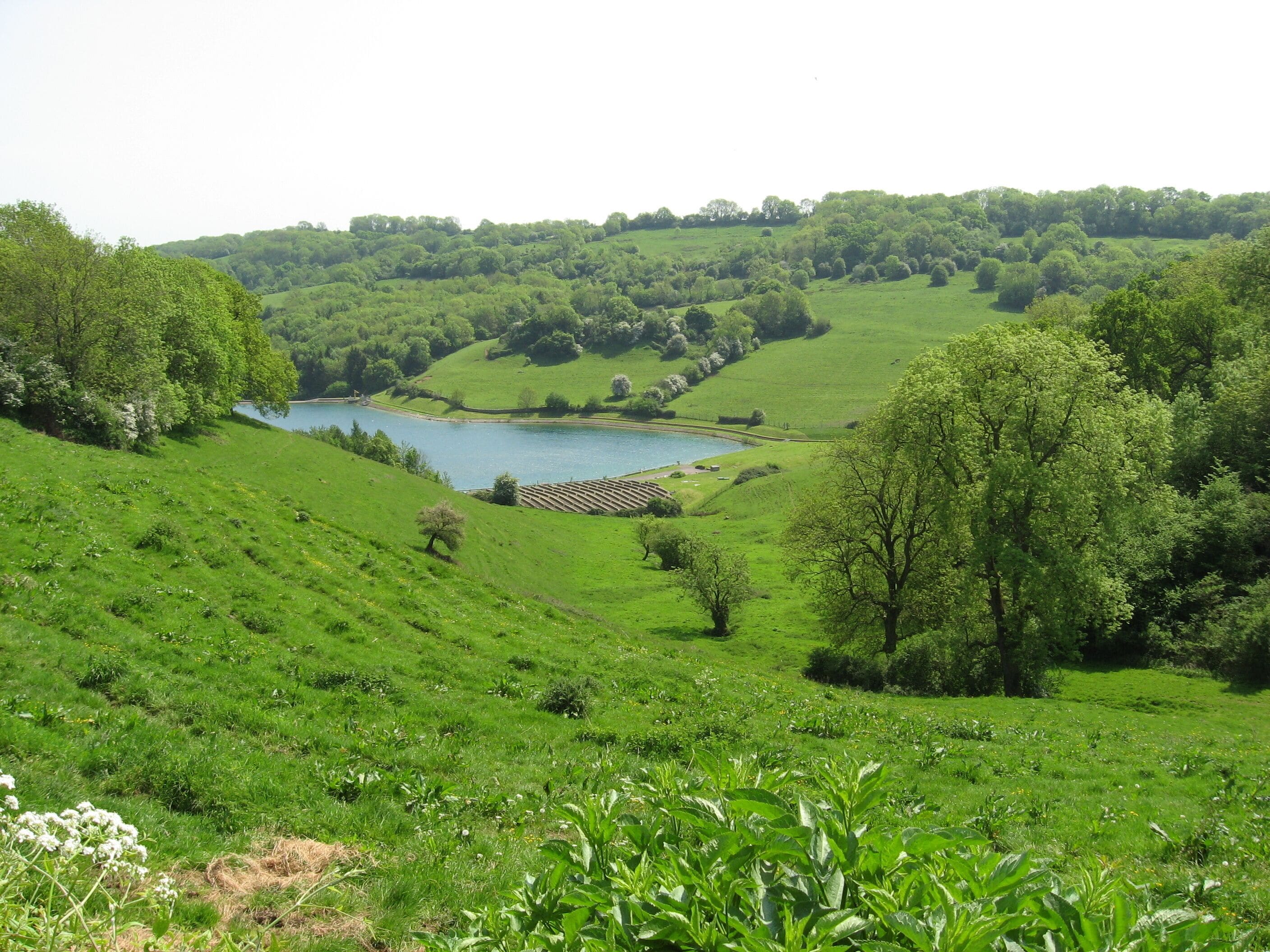 A lush green valley with a lake, rolling hills, and scattered trees.
