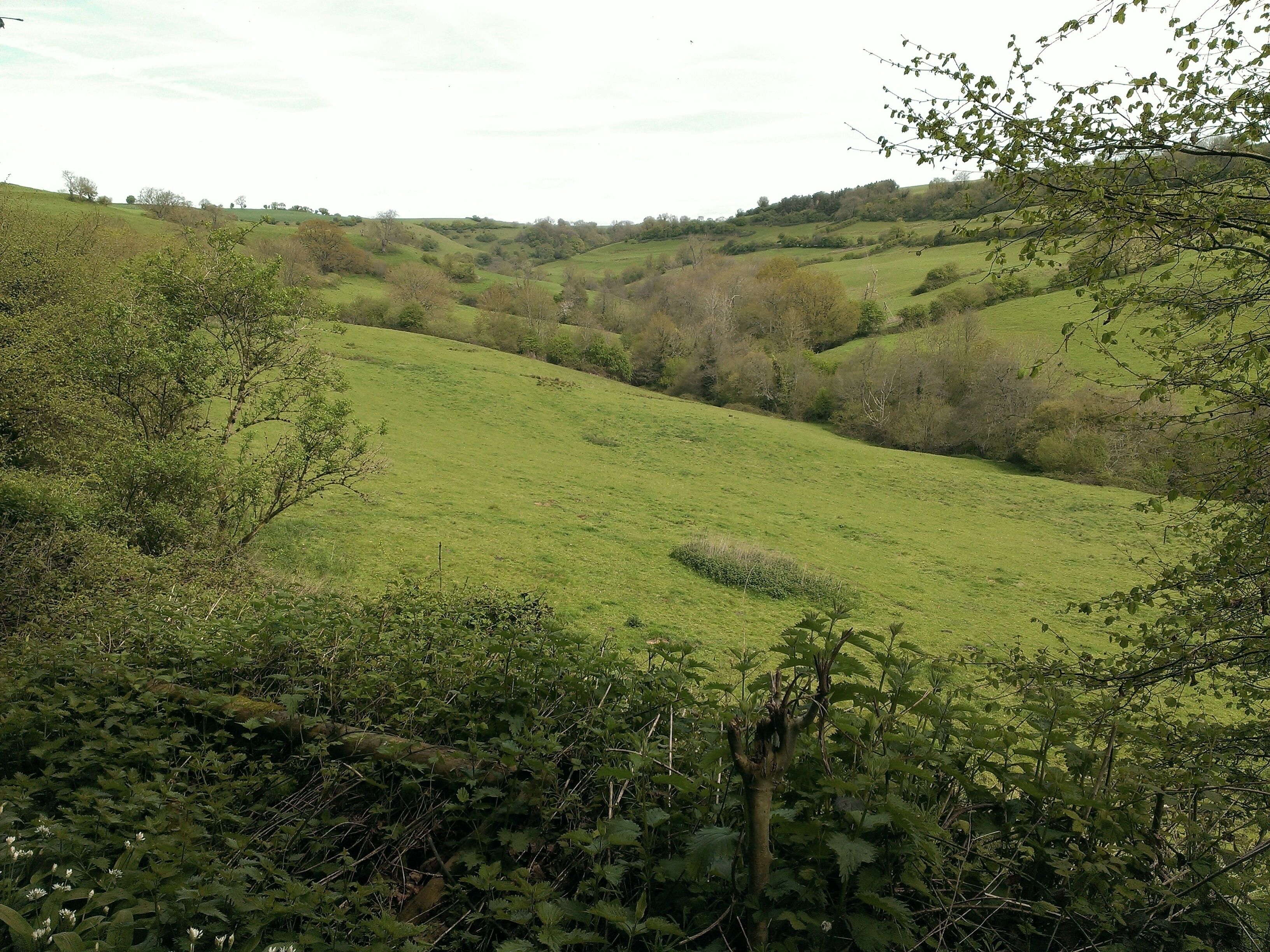 St. Catherines Valley.