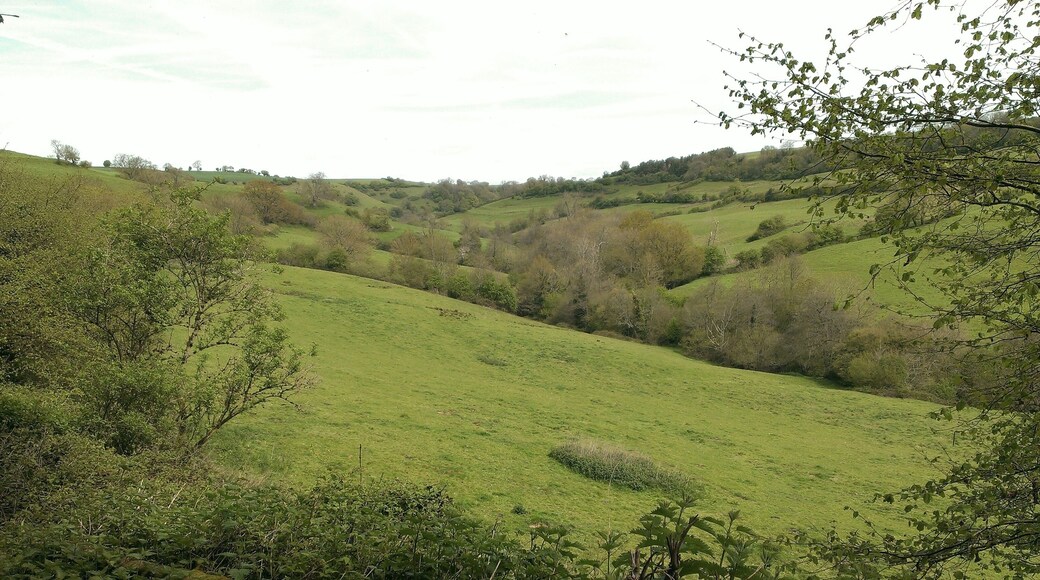 St. Catherines Valley.