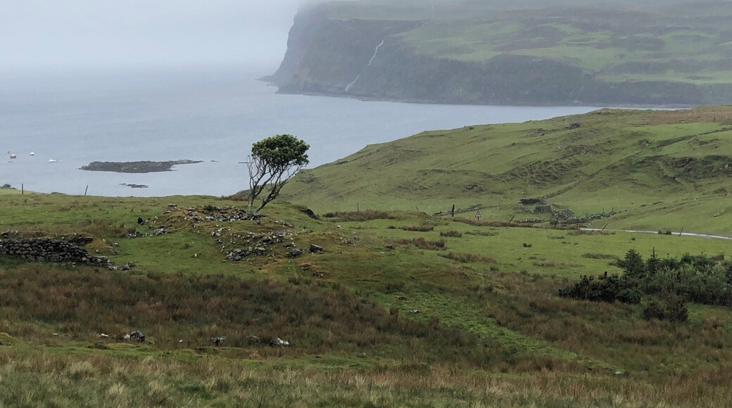 On the way back from Neist Point Lighthouse which had like 50 ft visibility, so no photo, found this discovery