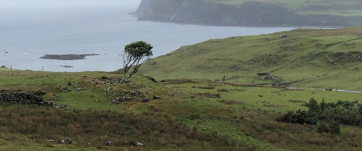 On the way back from Neist Point Lighthouse which had like 50 ft visibility, so no photo, found this discovery