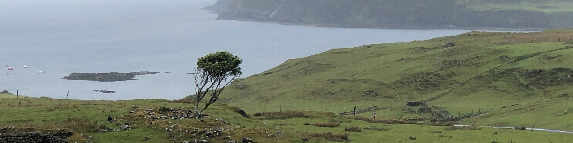 On the way back from Neist Point Lighthouse which had like 50 ft visibility, so no photo, found this discovery