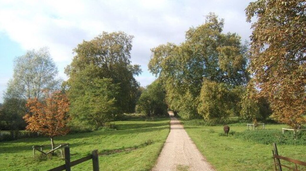 Driveway to Coddenham House