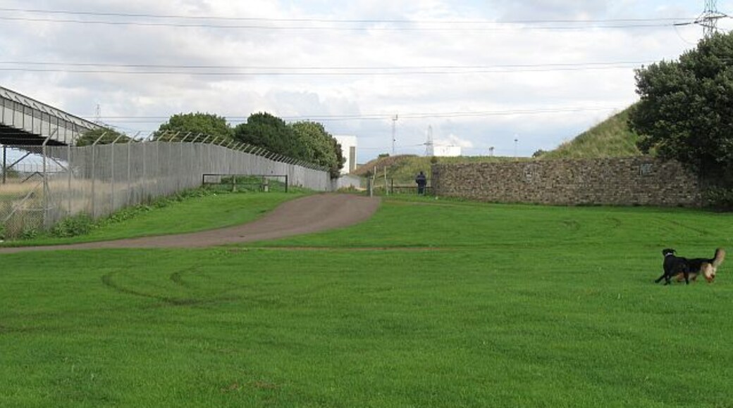 Path off Preston Links Path and trackway, supposedly gated to prevent vehicles occupying the green space, but not at this visit. The power station conveyor on the left. This green space is popular for exercising dogs.