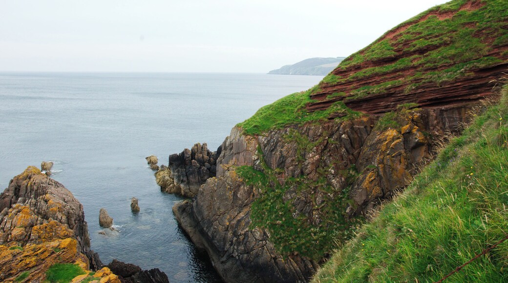 Walk to Siccar Point