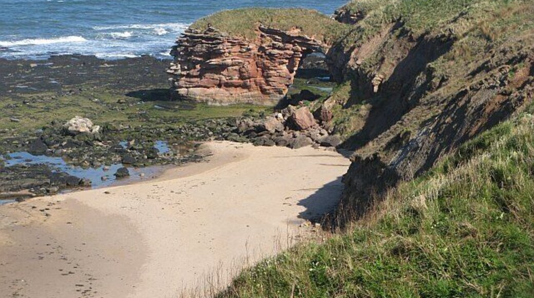 Natural arch near Bilsdean Is this East Lothian's finest beach? It is hard to access, with steep crags and grass slopes separating it from the John Muir Way path above. The arch is close to collapse now, there has been fresh rockfalls, so this is a good example of a catching a stack about to be formed. Obviously visiting the site requires some care.